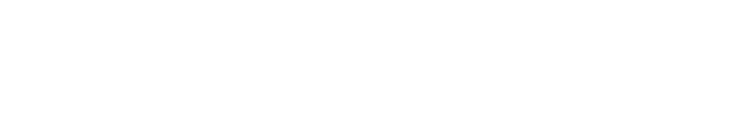 PUNCHERO